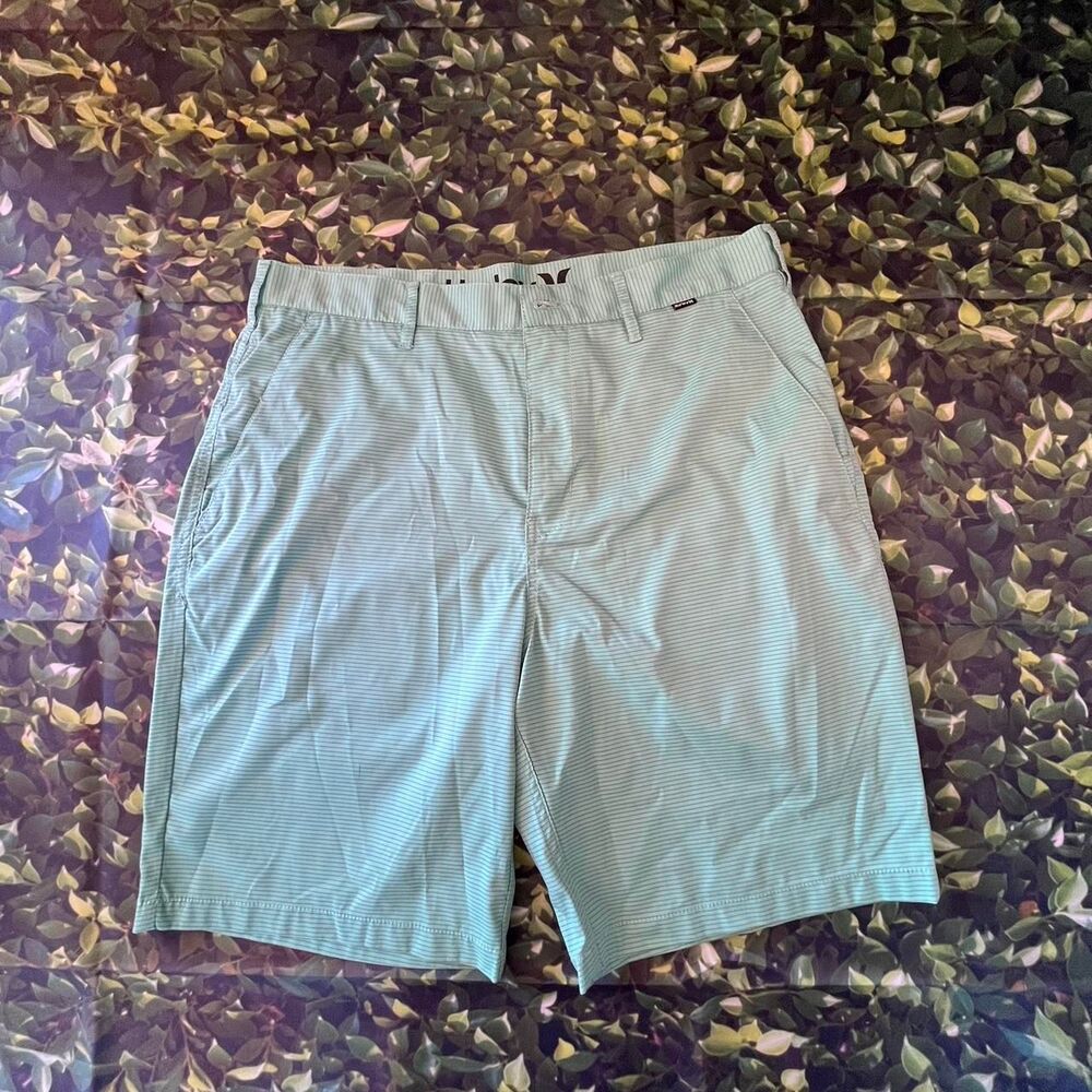 Hurley Men's Blue and Green Shorts